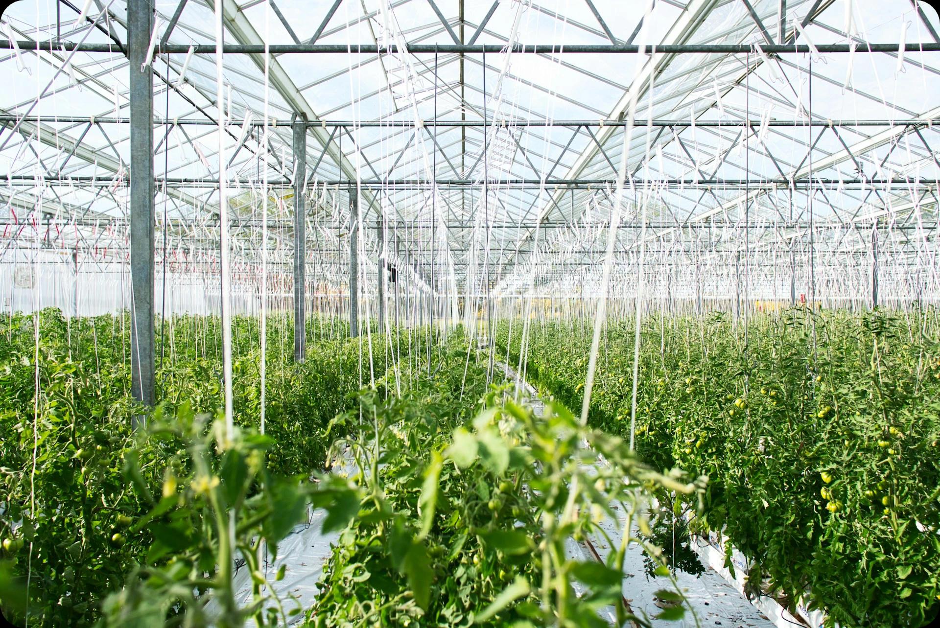 Traditional Sampling Challenges