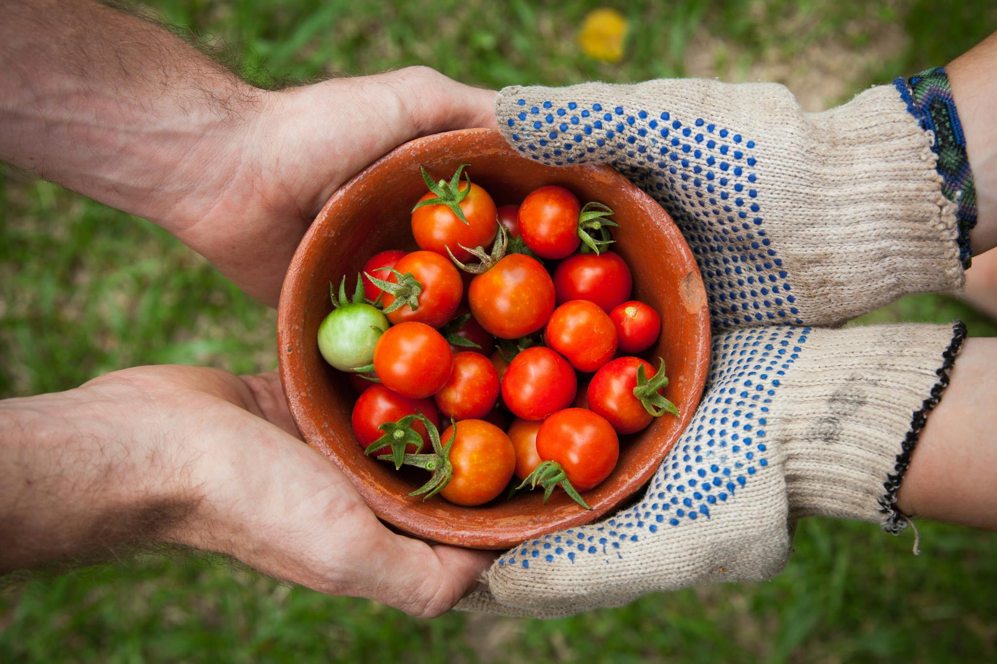 Innovative agricultural solutions